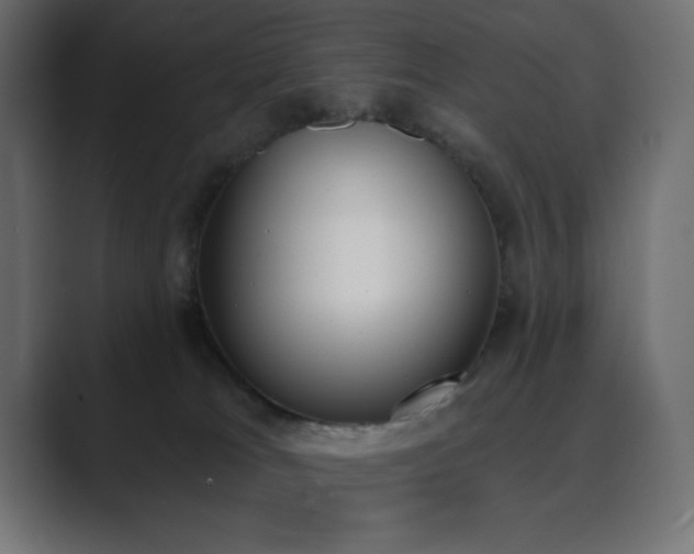 X0000089850037200706281259