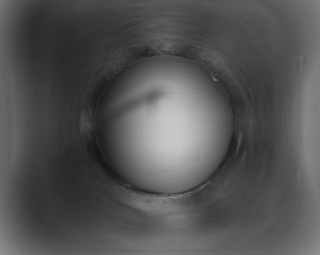 X0000089850040200706281259