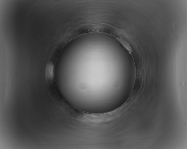 X0000089850041200706281259