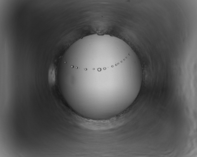 X0000089850042200706281259