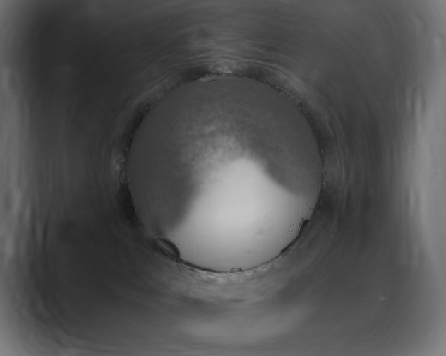 X0000089850043200706281259