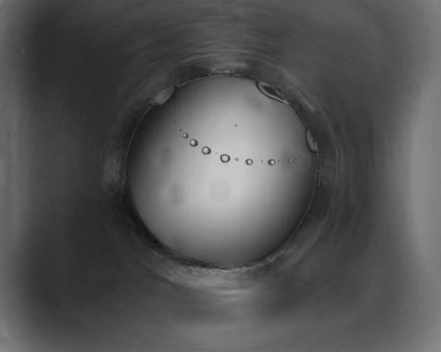 X0000089850044200706281259