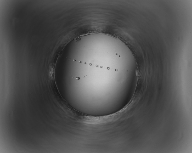 X0000089850045200706281259