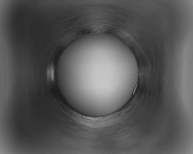 X0000089850046200706281259