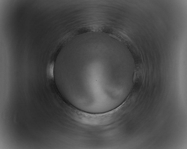 X0000089850047200706281259