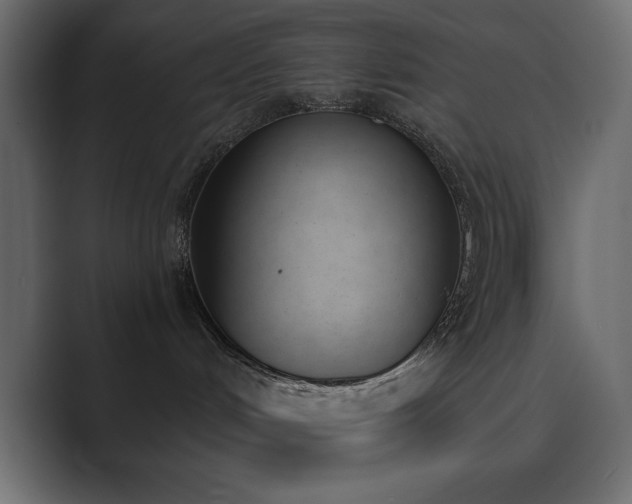 X0000089850048200706281259