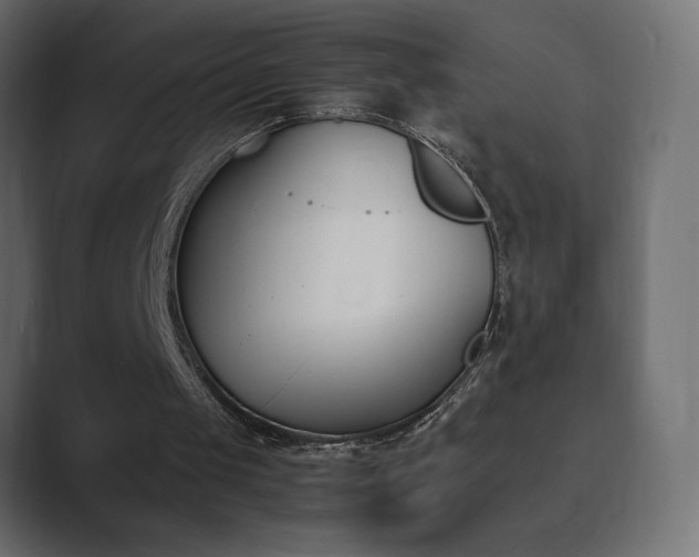 X0000089850049200706281259