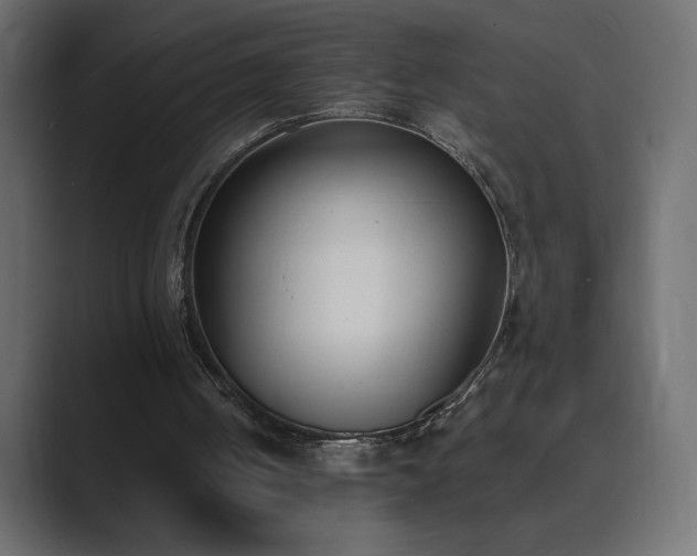 X0000089850050200706281259