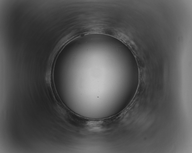 X0000089850051200706281259