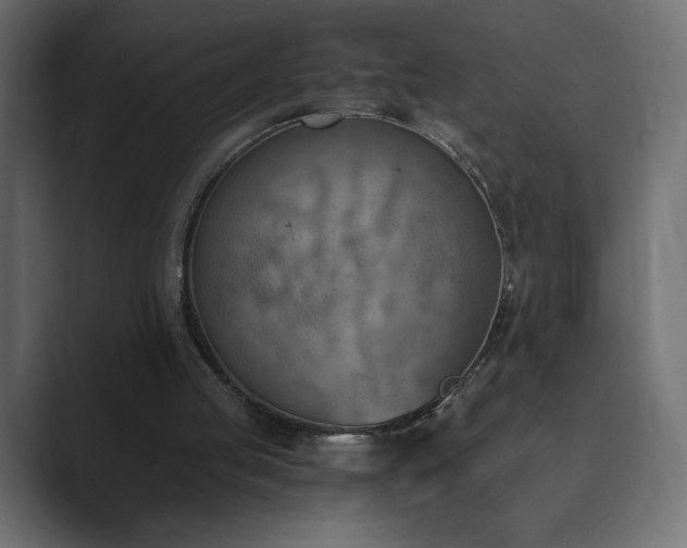 X0000089850053200706281259