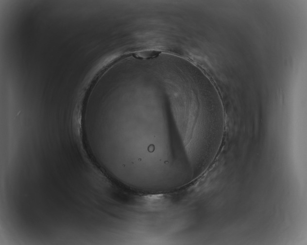 X0000089850054200706281259