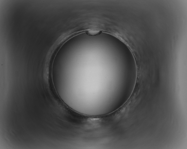 X0000089850055200706281259