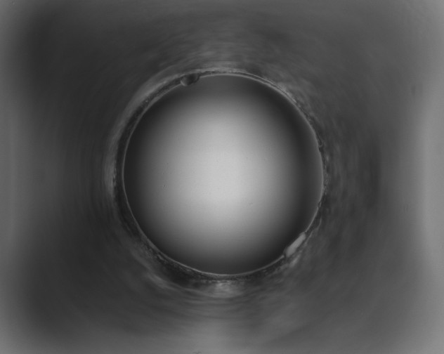 X0000089850056200706281259