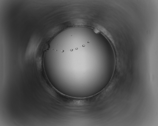 X0000089850057200706281259