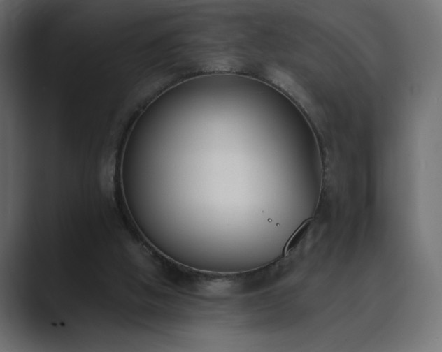 X0000089850058200706281259