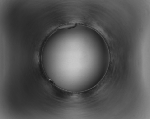 X0000089850060200706281259