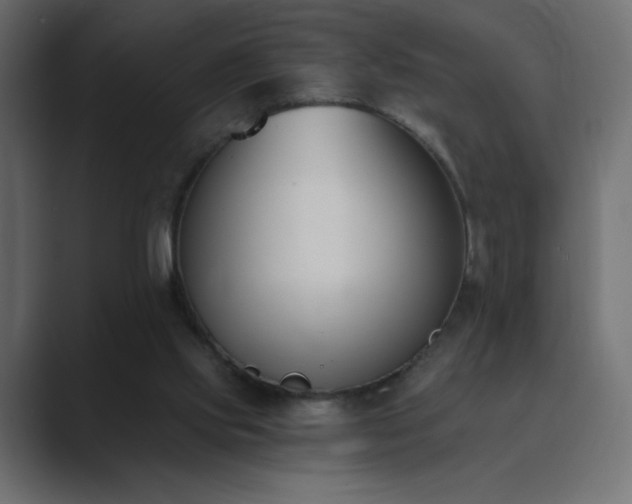 X0000089850061200706281259