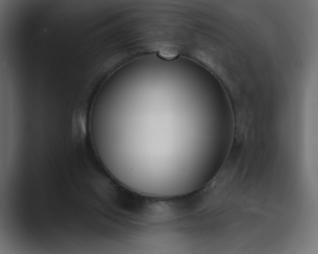 X0000089850062200706281259