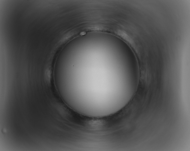 X0000089850063200706281259