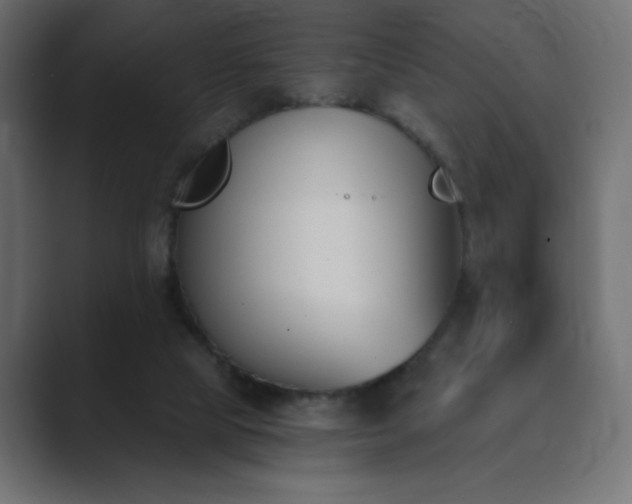X0000089850065200706281259