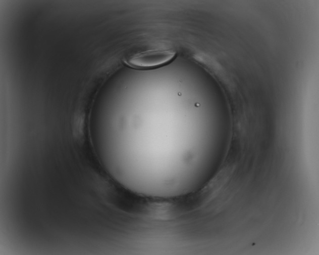 X0000089850066200706281259