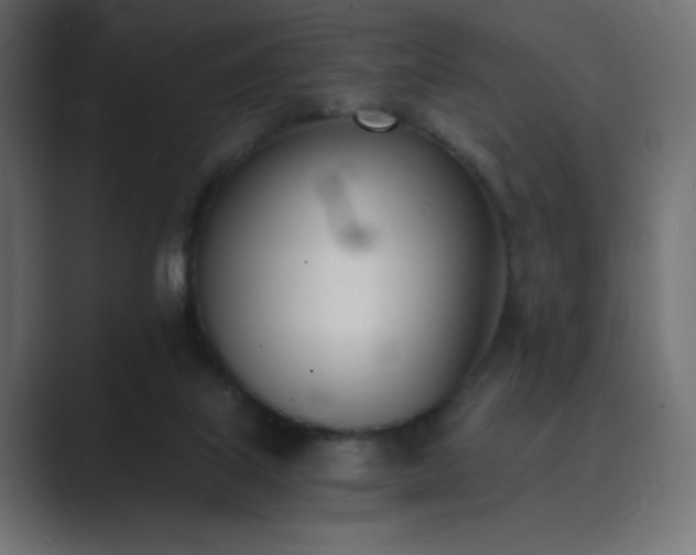 X0000089850067200706281259