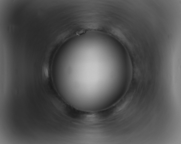 X0000089850068200706281259