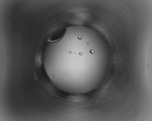 X0000089850069200706281259
