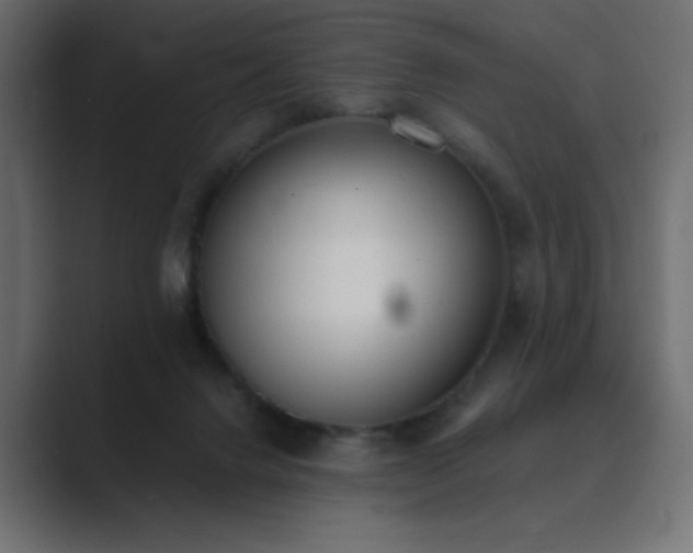 X0000089850072200706281259