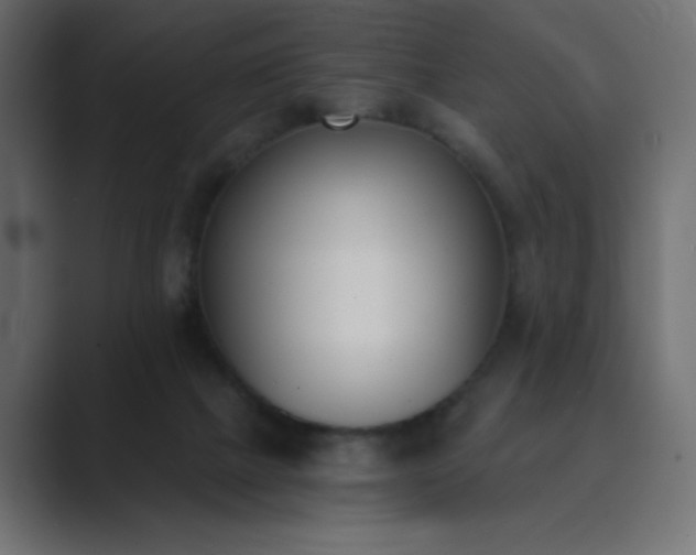 X0000089850073200706281259