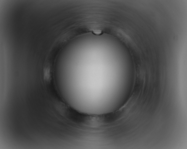 X0000089850074200706281259