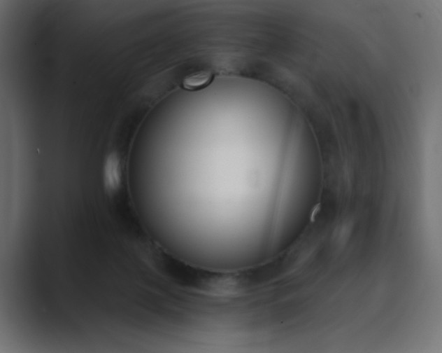 X0000089850075200706281259