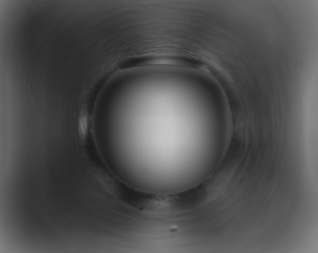 X0000089850076200706281259