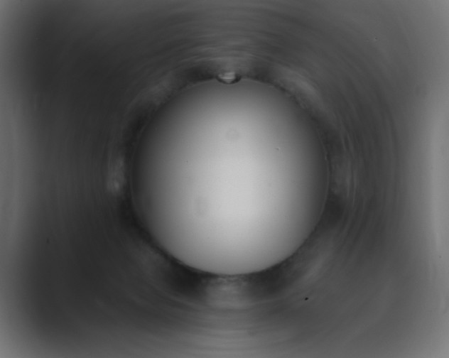 X0000089850077200706281259
