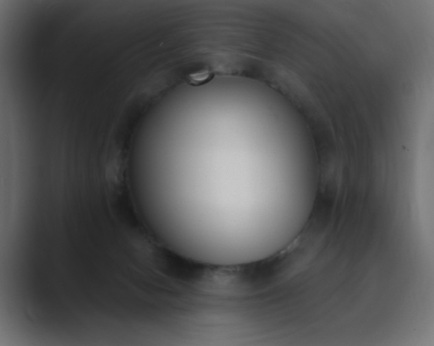 X0000089850078200706281259