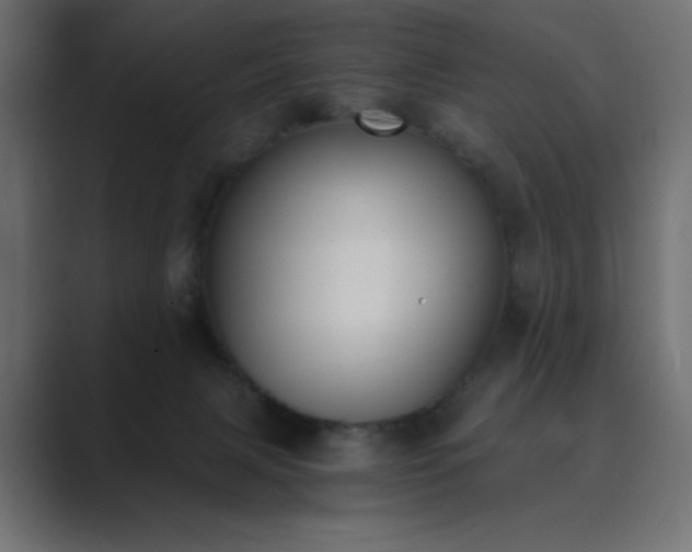 X0000089850079200706281259