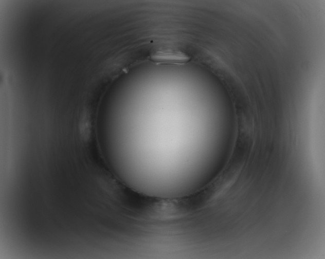 X0000089850080200706281259