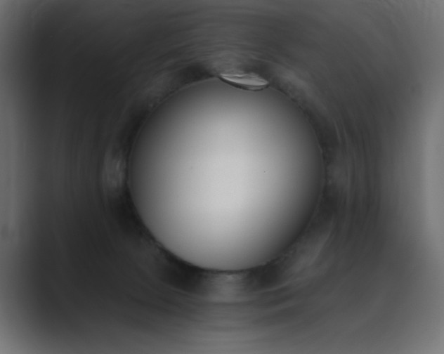 X0000089850081200706281259