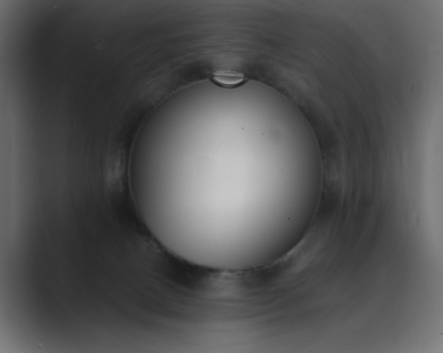 X0000089850082200706281259