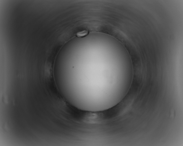 X0000089850083200706281259
