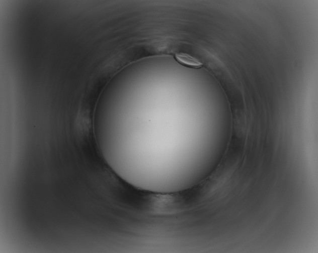 X0000089850085200706281259