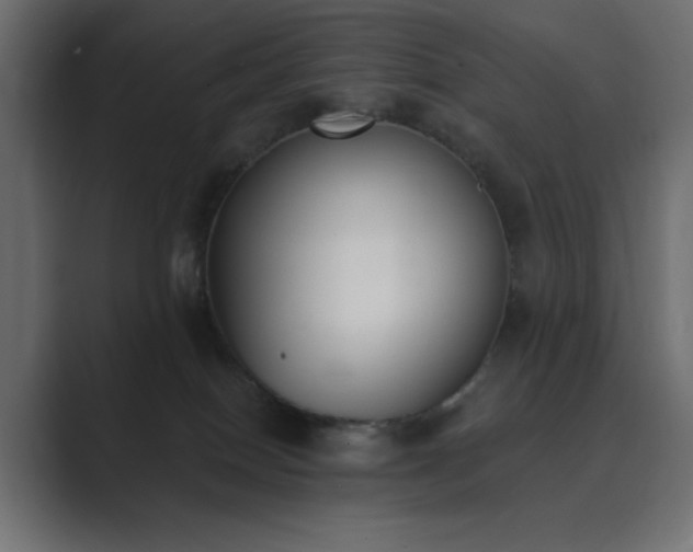 X0000089850086200706281259