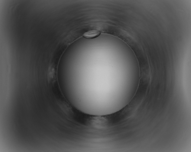 X0000089850087200706281259