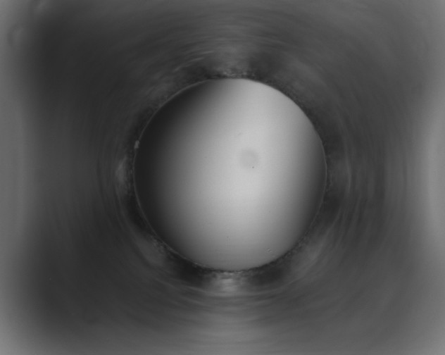 X0000089850088200706281259