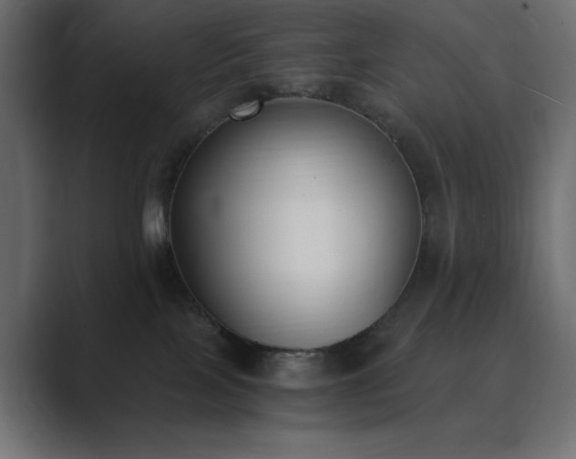 X0000089850089200706281259