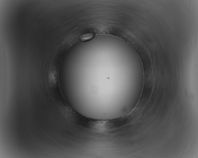 X0000089850090200706281259