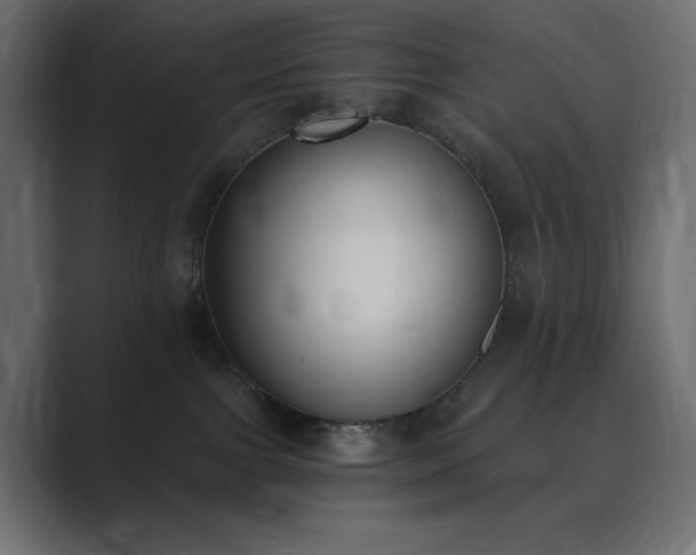 X0000089850091200706281259