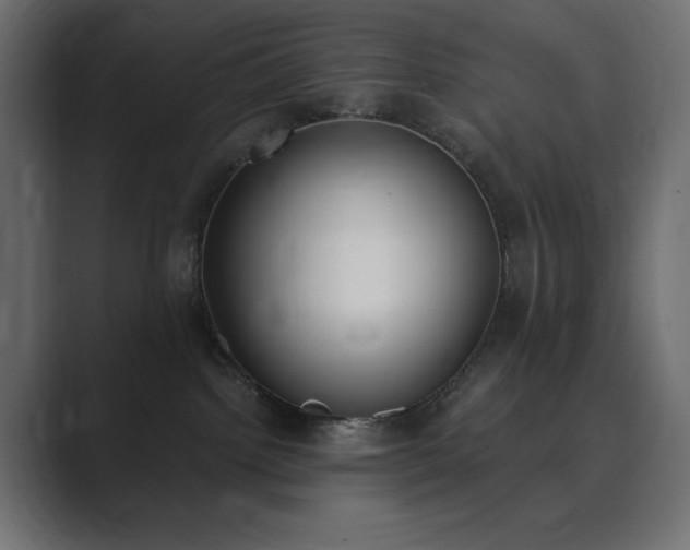 X0000089850092200706281259