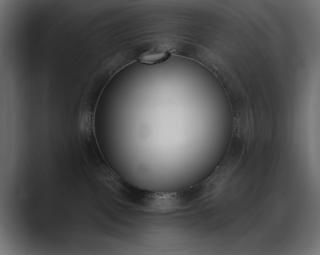 X0000089850093200706281259