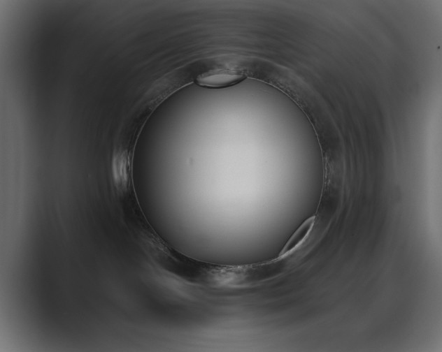 X0000089850094200706281259